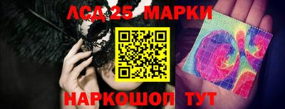 амф Заволжье