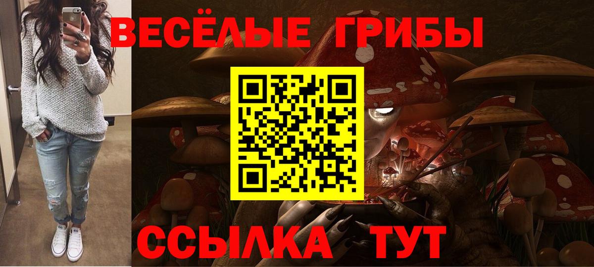 Псилоцибиновые грибы Psilocybine cubensis  Вход с VPN  Усть-Джегута 
